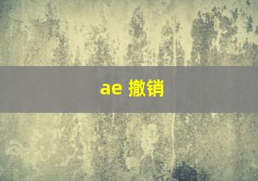 ae 撤销